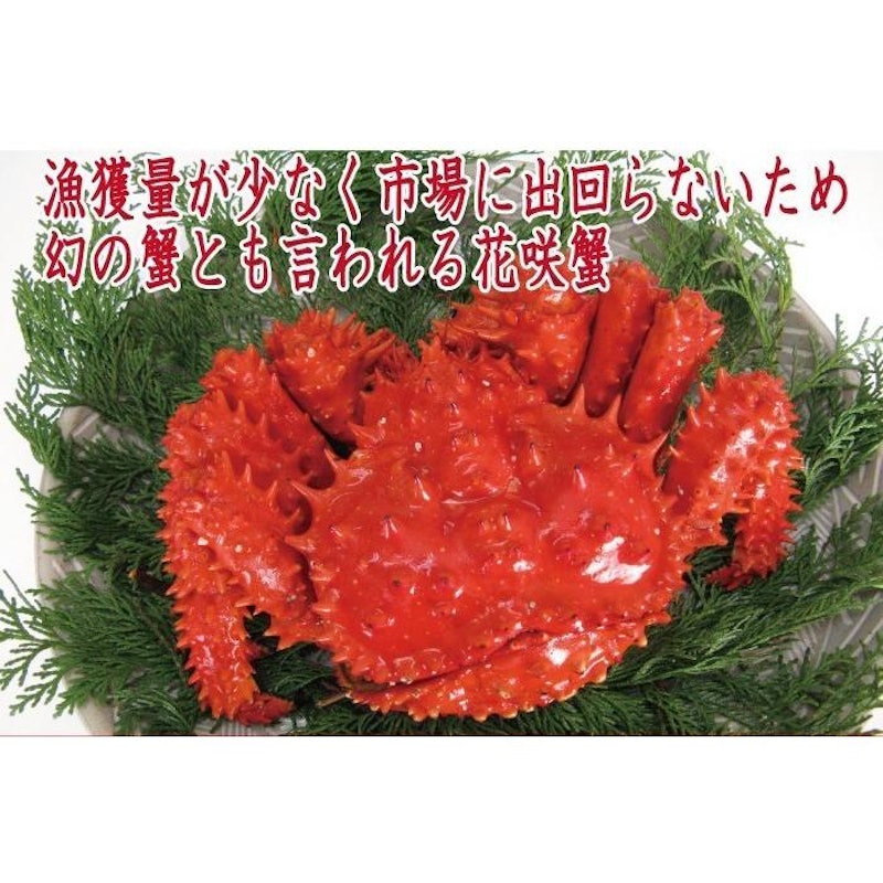 花咲かに 3
