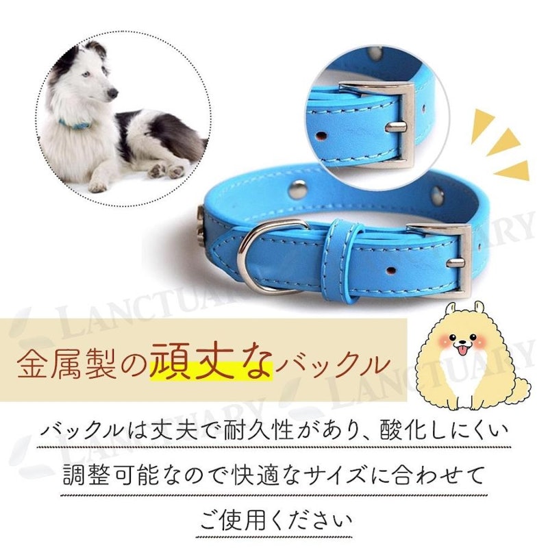 犬用首輪 3