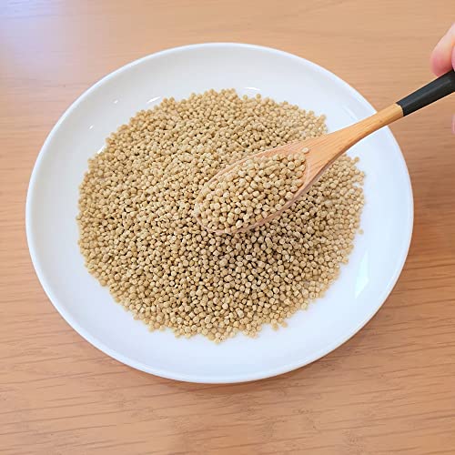 アダルトライフタイム スーパーファイン 2
