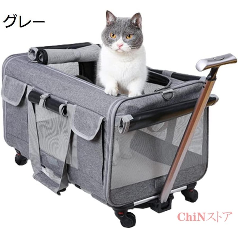 キャリーバッグ 1