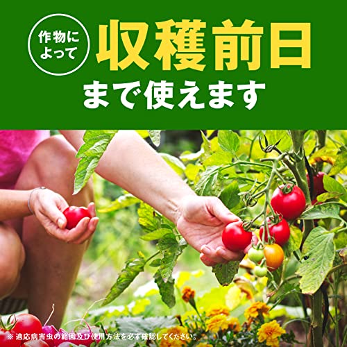 野菜うまし 5