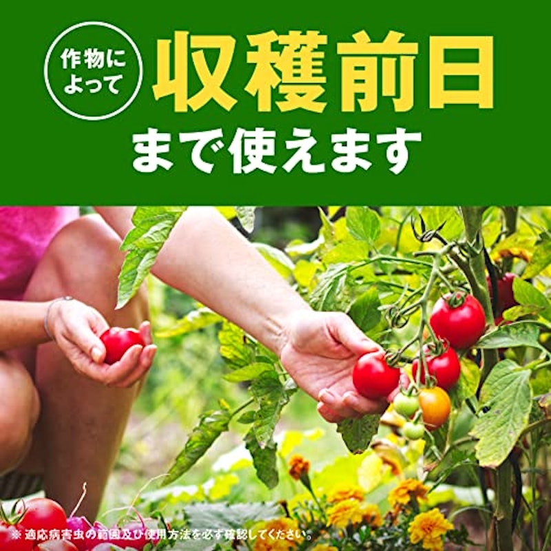 野菜うまし 5