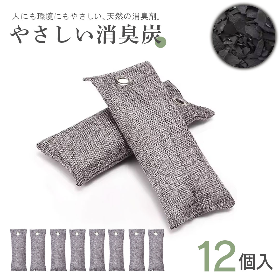 靴 消臭炭パック 1