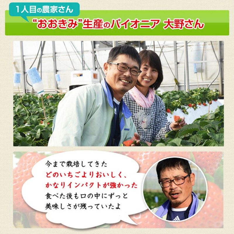 宮崎産高級いちご「おおきみ」超特大9粒 8