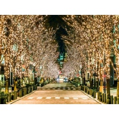 22年 東京都内のクリスマスデートスポットのおすすめ人気ランキング選 Mybest 22年 東京都内のクリスマスデートスポットのおすすめ人気ランキング選 Mybest