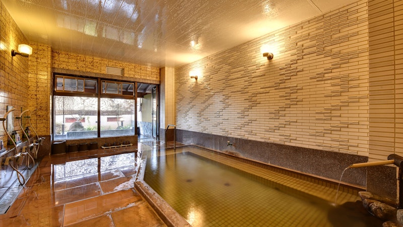 湯村温泉 湯志摩の郷 楽水園 3