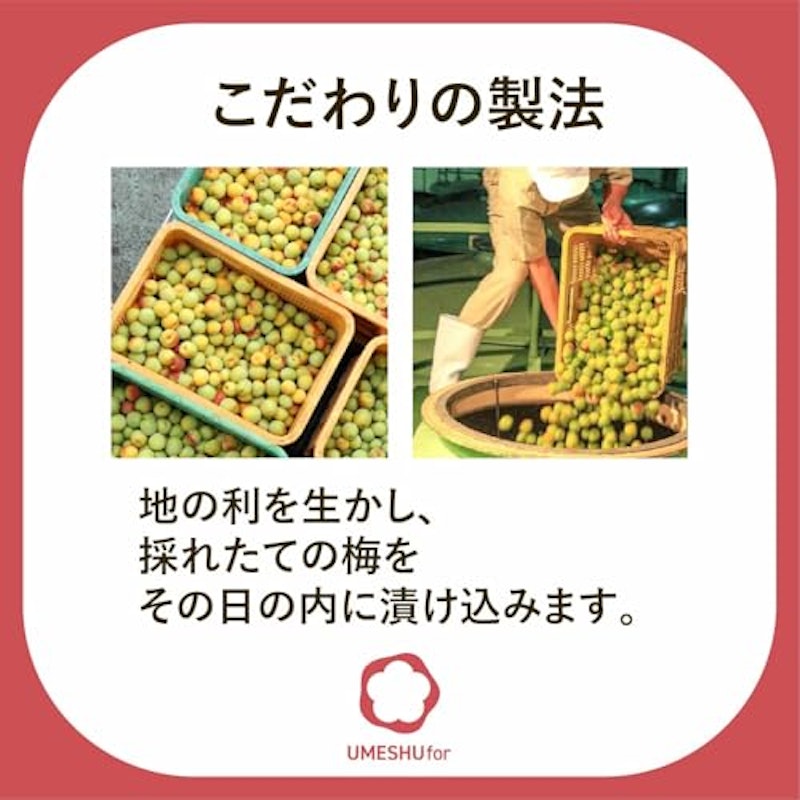 なでしこのお酒 てまり 4