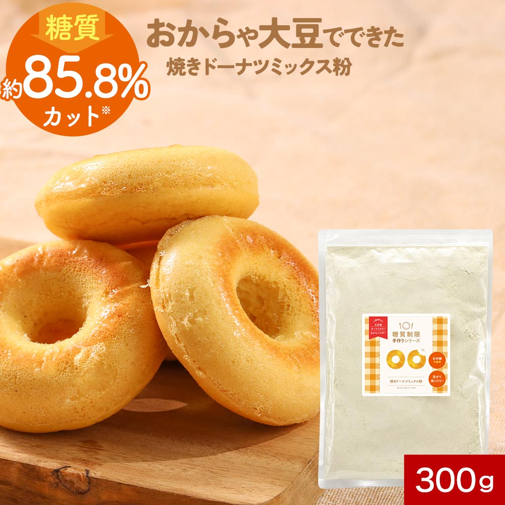 糖質制限手作りシリーズ 焼きドーナツミックス粉 1