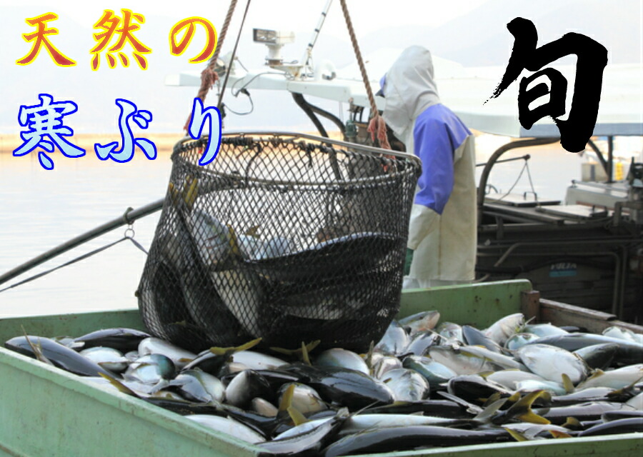 寒ぶりかま 2