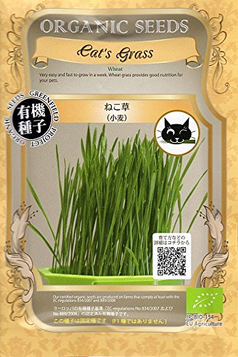 有機種子 ねこ草 1