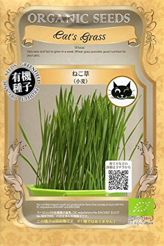 有機種子 ねこ草 1