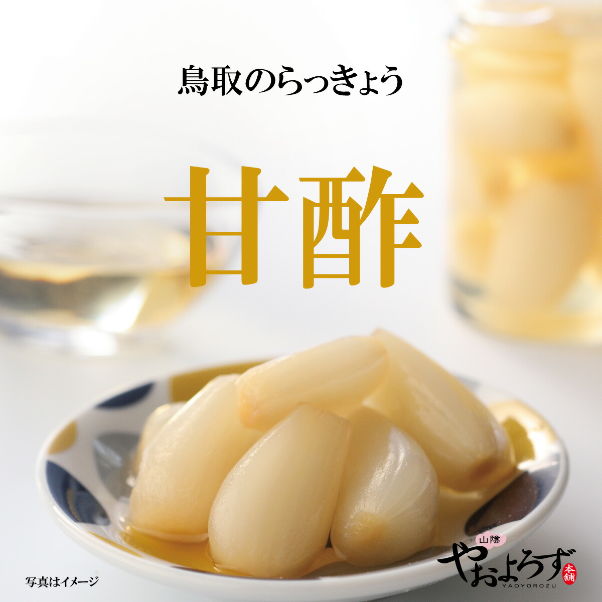 鳥取のらっきょう 3