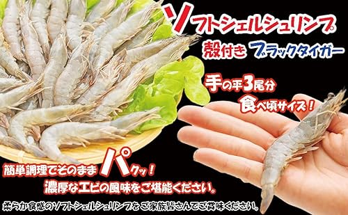 ソフトシェルシュリンプ 5