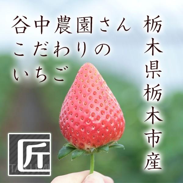 スカイベリー 8