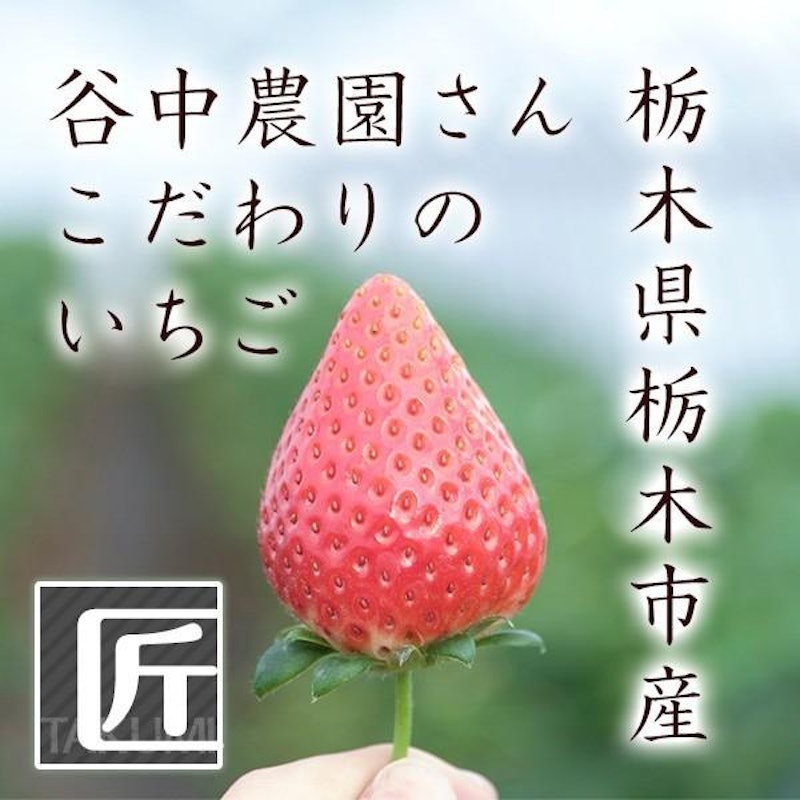 スカイベリー 8