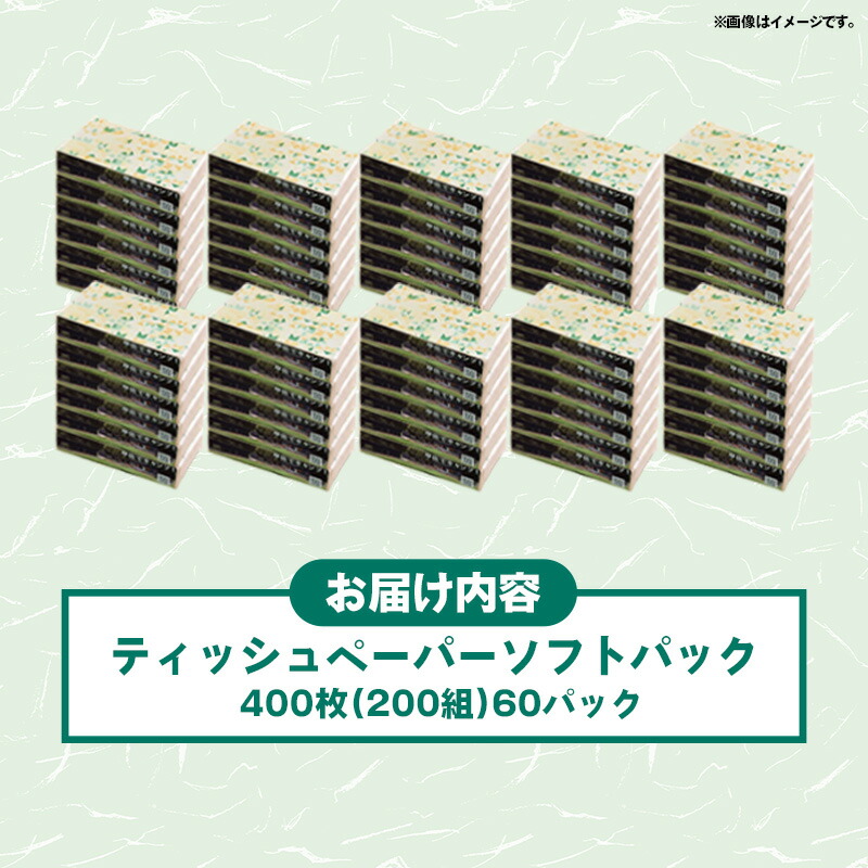 ティッシュペーパー ソフトパック 60パック 3