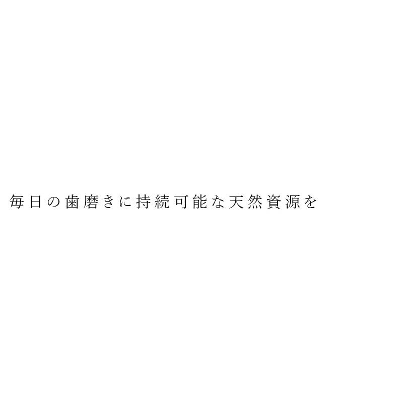 竹歯ブラシ 2