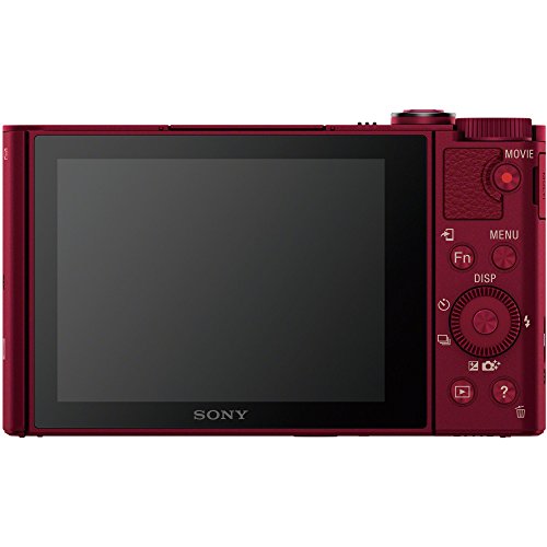 DSC-WX500 3