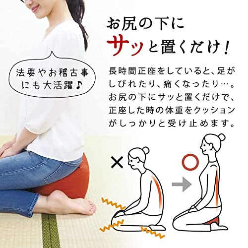 彩転 SAIKORO 正座が楽になるクッション 3
