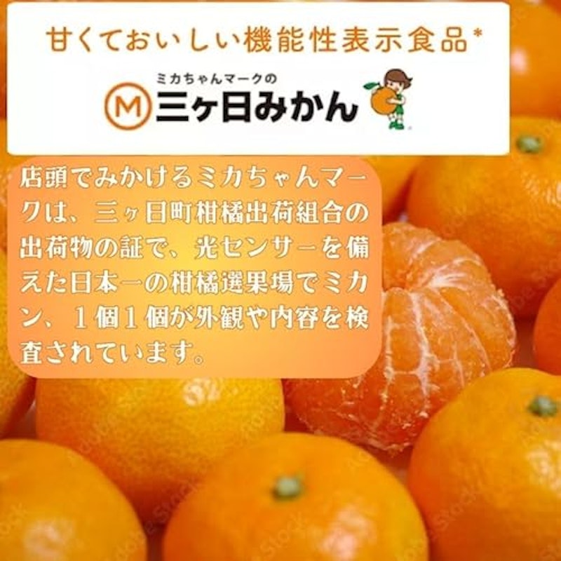 三ヶ日みかん 4