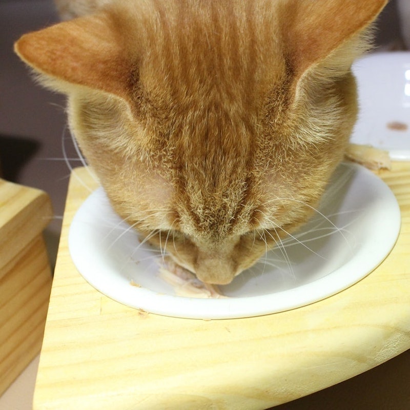 焼ささみ 12本入り チキンミックス味 10