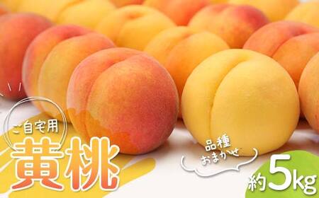 山形黄桃 自宅用 1