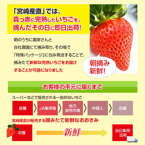 宮崎産高級いちご「おおきみ」超特大9粒 13