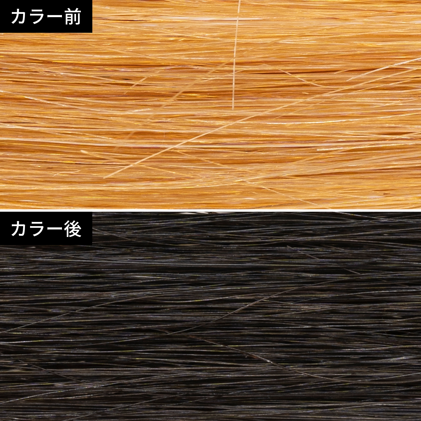 21年 黒染めのおすすめ人気ランキング9選 徹底比較 Mybest