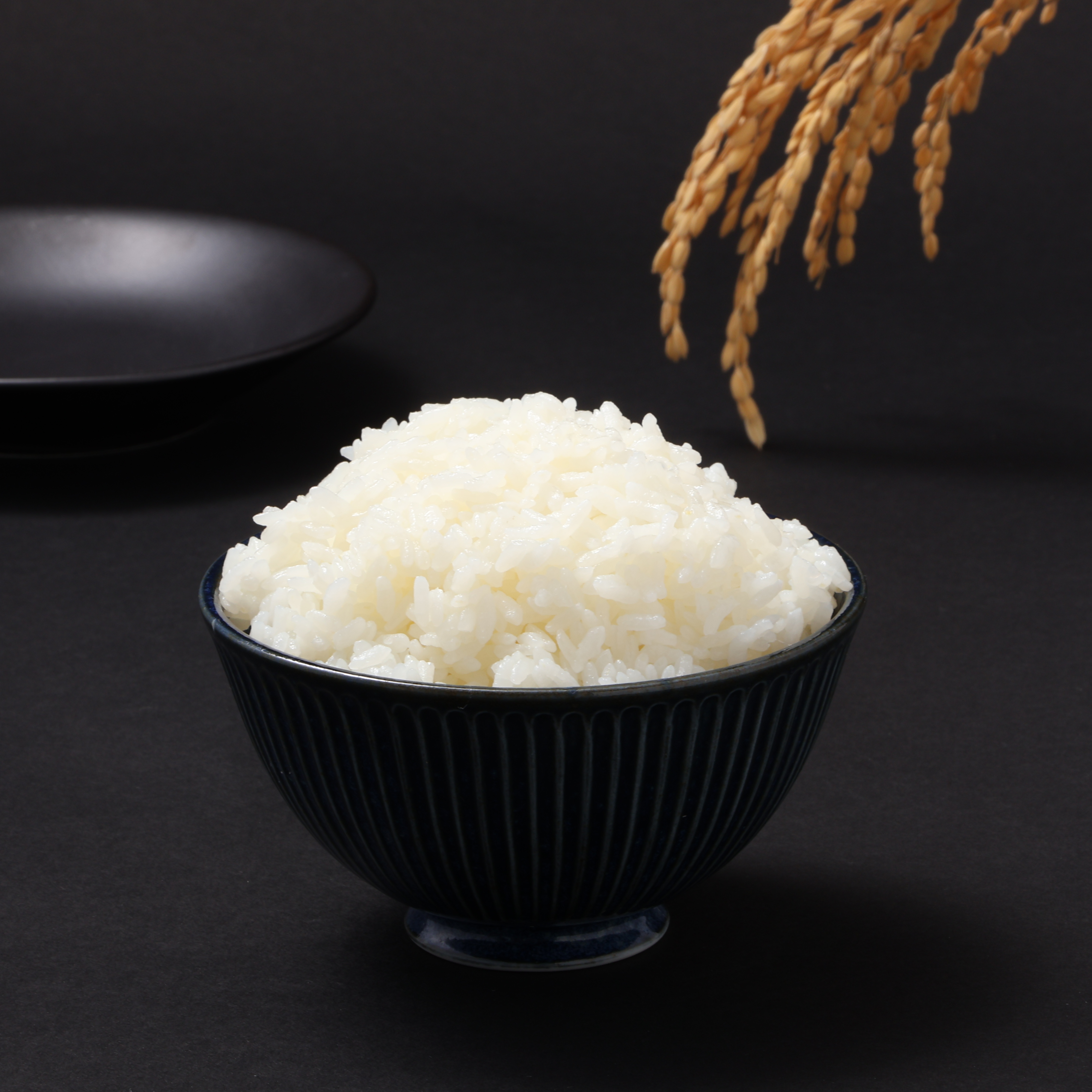 O-ETSU食品工業 熊本県産 森のくまさんを検証レビュー！お米の選び方も