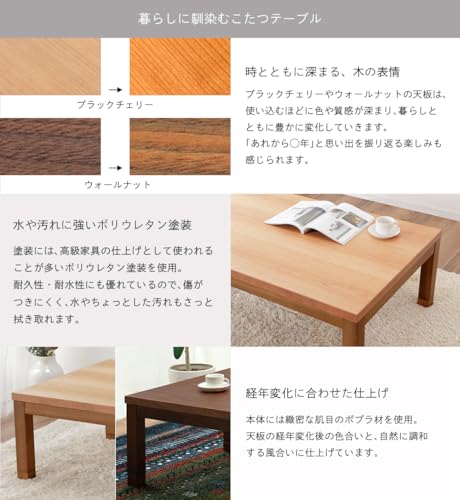 こたつ 7