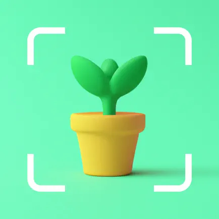 PlantCam 1