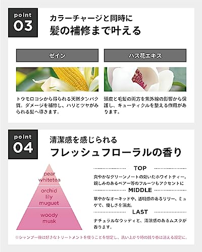 Color Shampoo 3