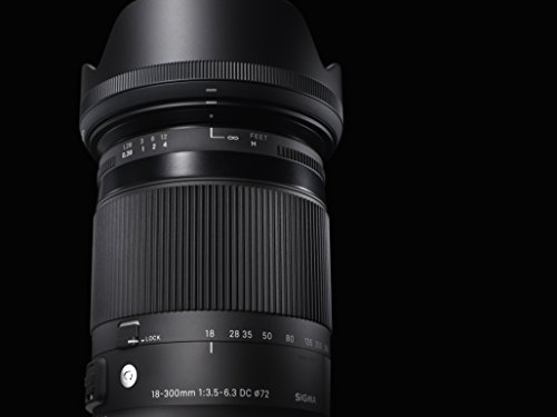 18-300mm F3.5-6.3 DC MACRO OS HSM | Contemporary 5