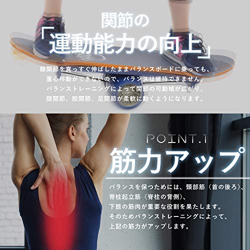 Fungoal バランスボード PRO 3