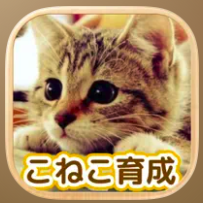 かわいい こねこ育成げーむ 1