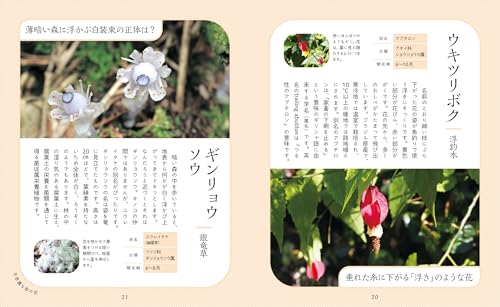 神秘的で美しい花図鑑 5