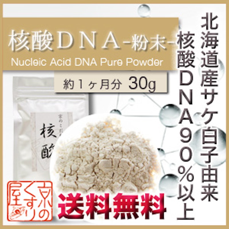 核酸DNA 1