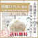 京のくすり屋 核酸DNA 1