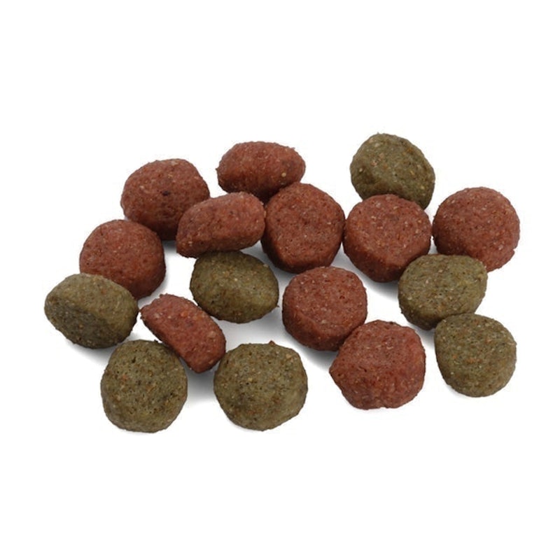 K1jabjfr1cqigm K1jabjfr1cqigm