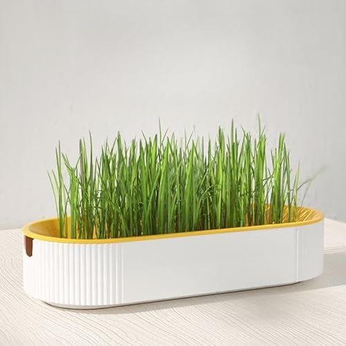 猫草栽培キット 3