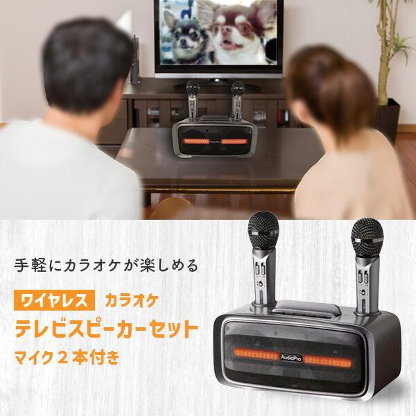 手元スピーカー カラオケマイクセット 2
