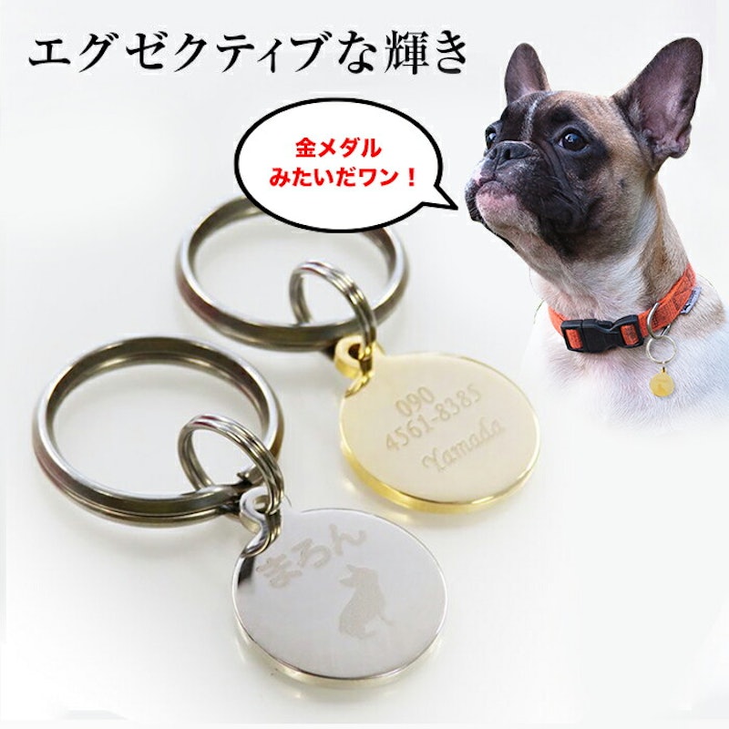 21年 犬用迷子札のおすすめ人気ランキング15選 Mybest 21年 犬用迷子札のおすすめ人気ランキング15選 Mybest