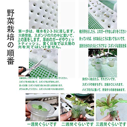 水耕栽培キット 7