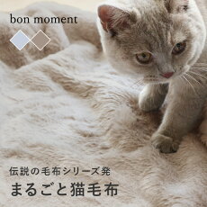 まるごと猫 毛布 3
