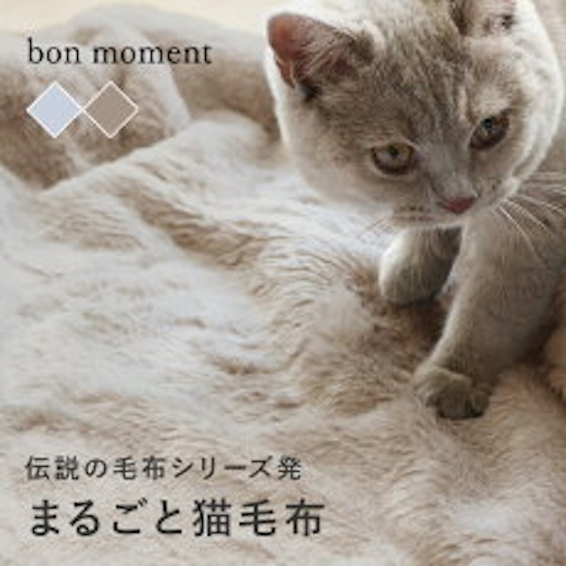 まるごと猫 毛布 3
