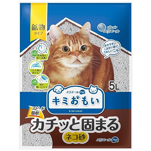 カチッと固まる ネコ砂 1