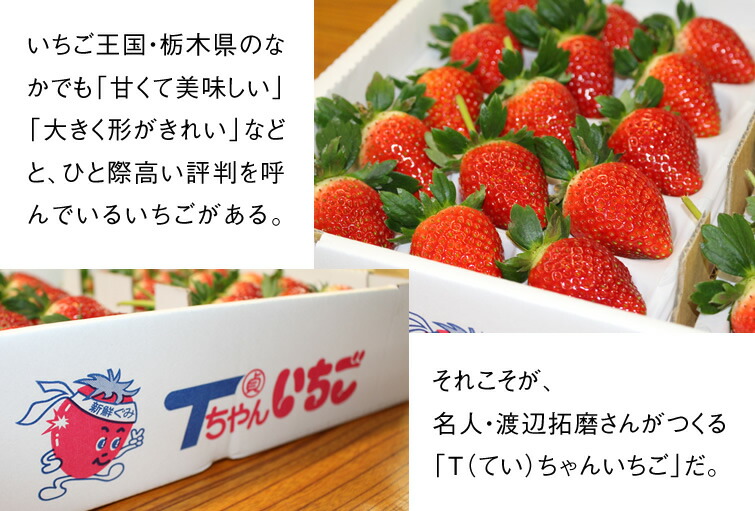 とちあいか 11