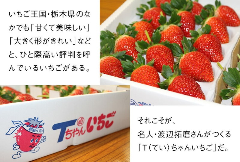 とちあいか 11