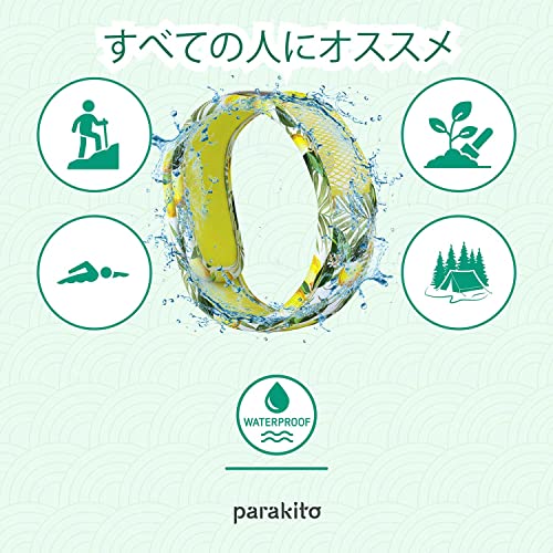 グラフィックバンド 4