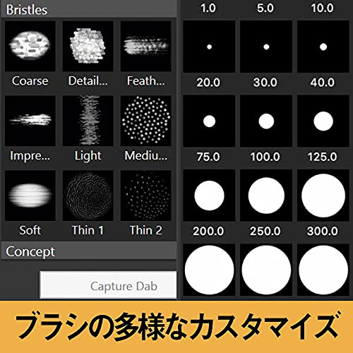 Corel Painter 2022 for Mac（旧版） 2